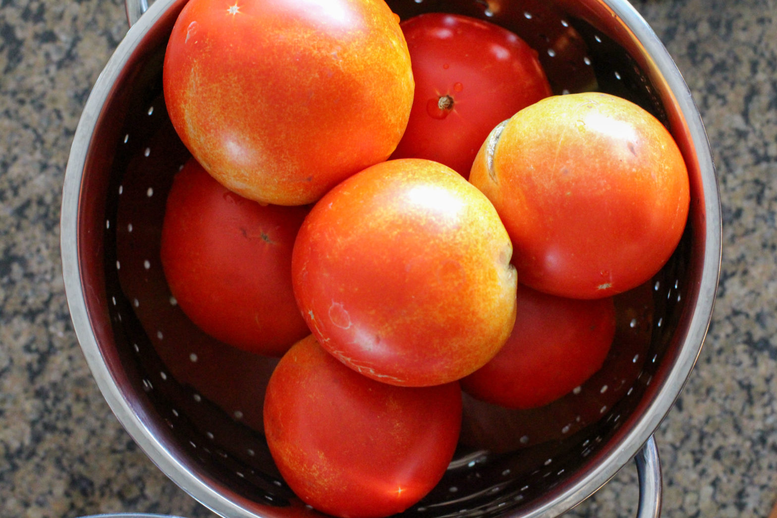 Homemade Tomato Basil Pasta Sauce - Wholesome Family Living