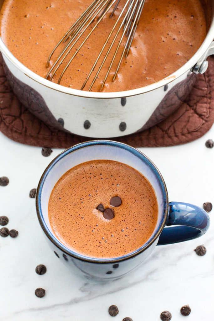 Pan and mug of homemade hot chocolate topped with chocolate chips