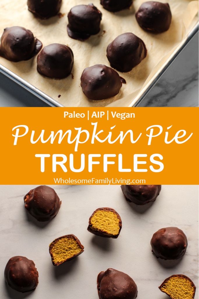 pumpkin pie truffle pin