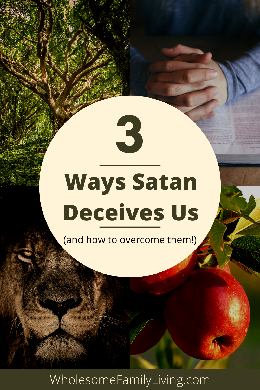 3 Ways Satan Deceives Us - Wholesome Family Living