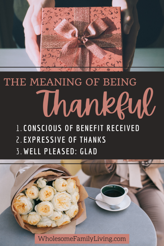Meaning of Thankful