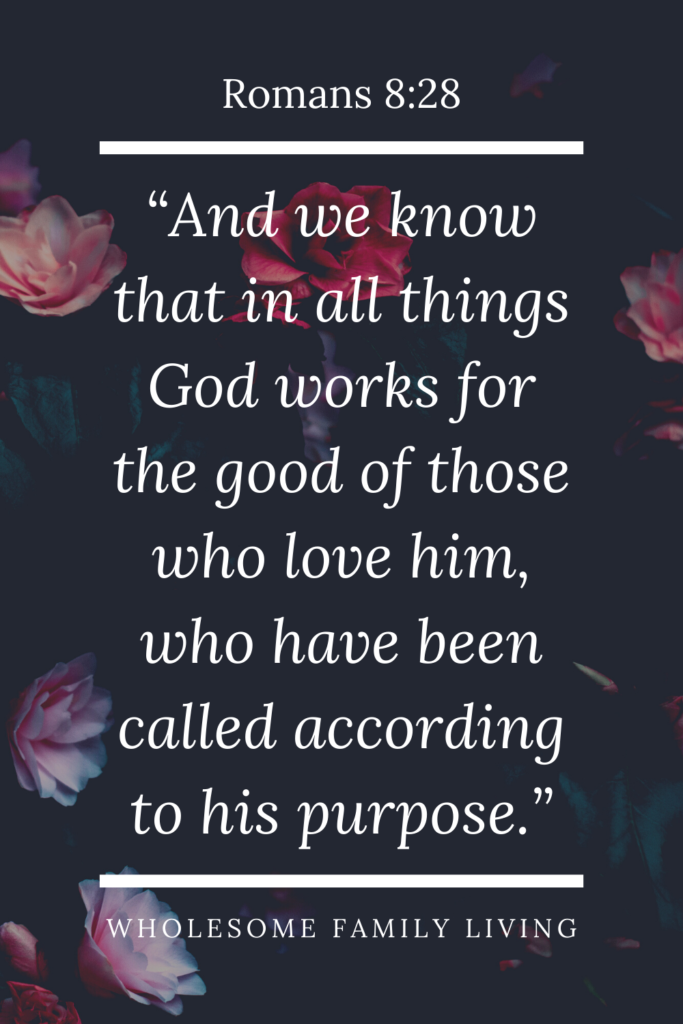 romans 8:28 explains why bad things happen to good people