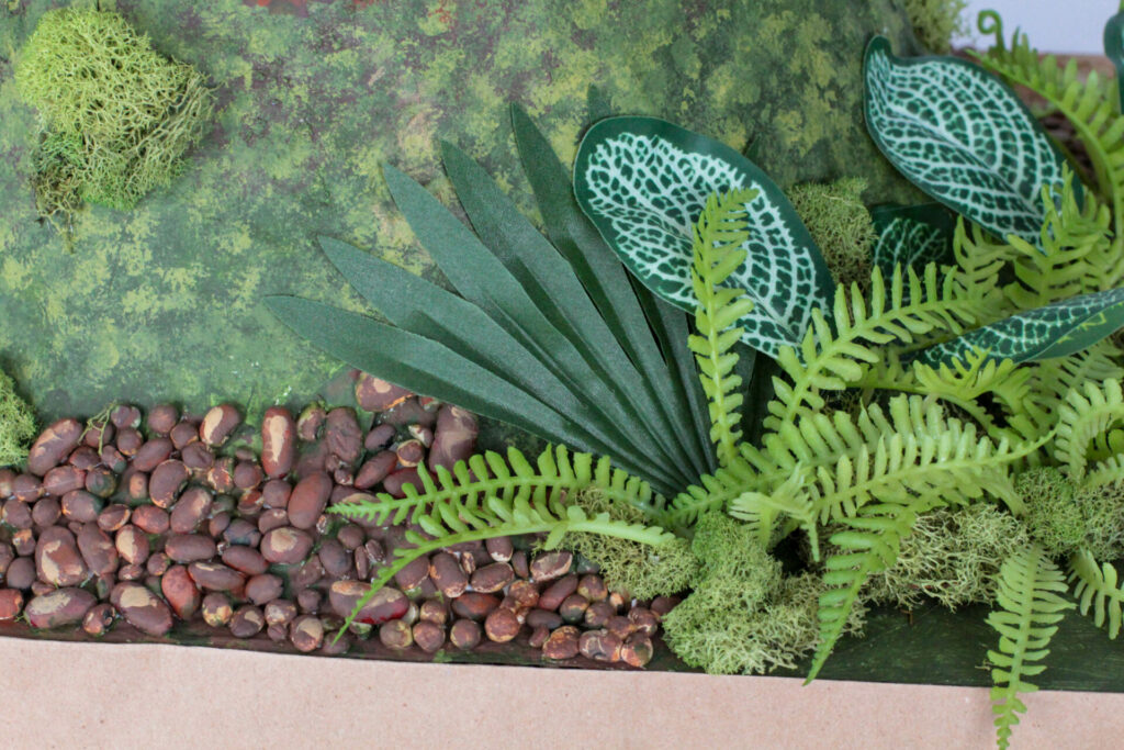 close up photo of plants surrounding the base of the volcano