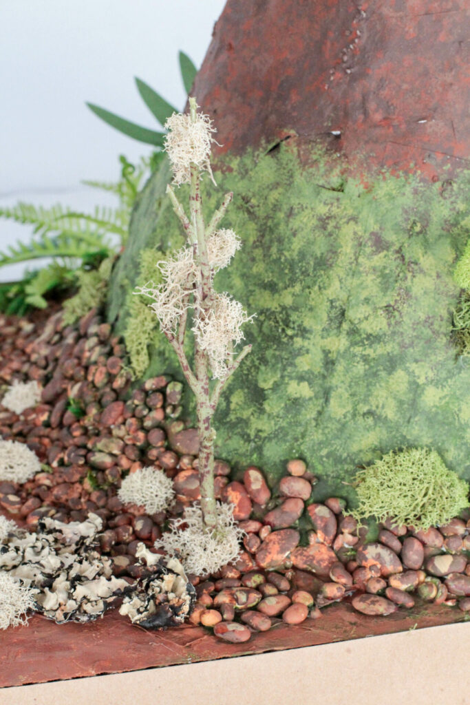 close up photo of volcano details